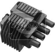 12917 ignition coil